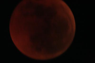img_8255.jpg
